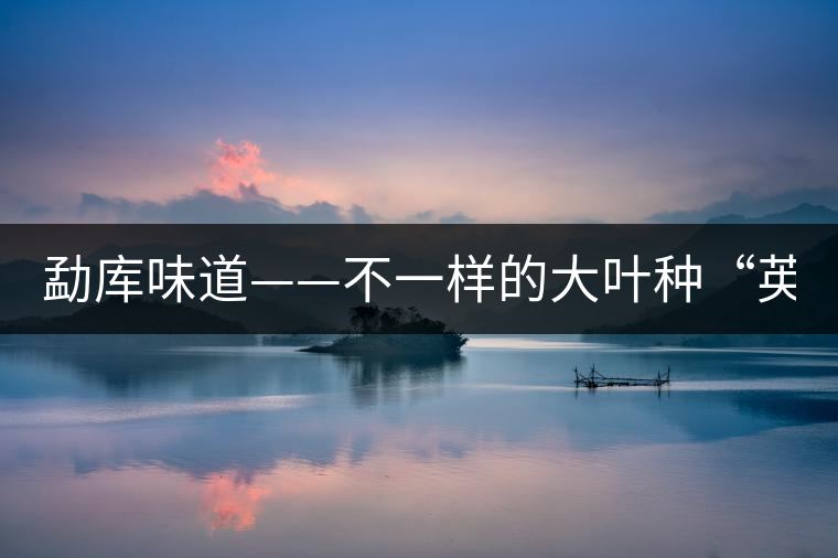 勐庫味道——不一樣的大葉種“英豪”