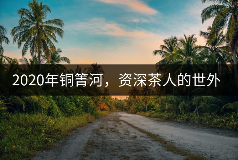 2020年銅箐河，資深茶人的世外桃源-易武-易武中聘號