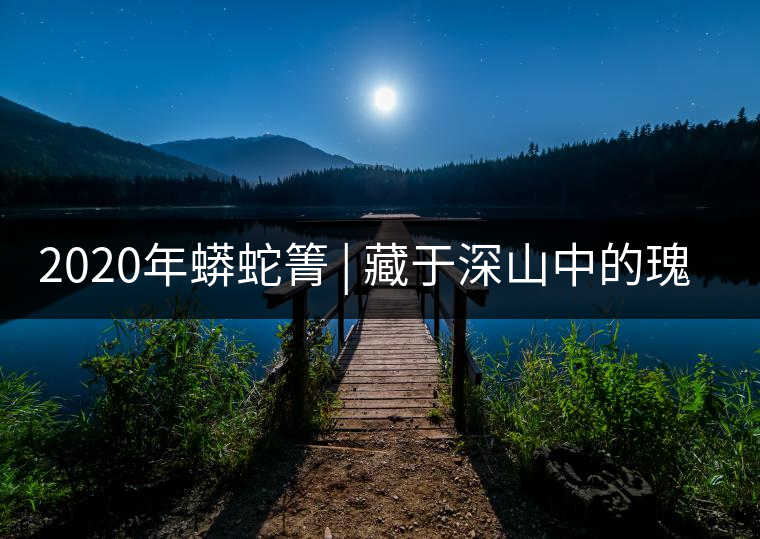 2020年蟒蛇箐 | 藏于深山中的瑰寶-易武中聘號