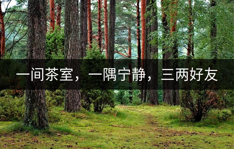 一間茶室，一隅寧?kù)o，三兩好友