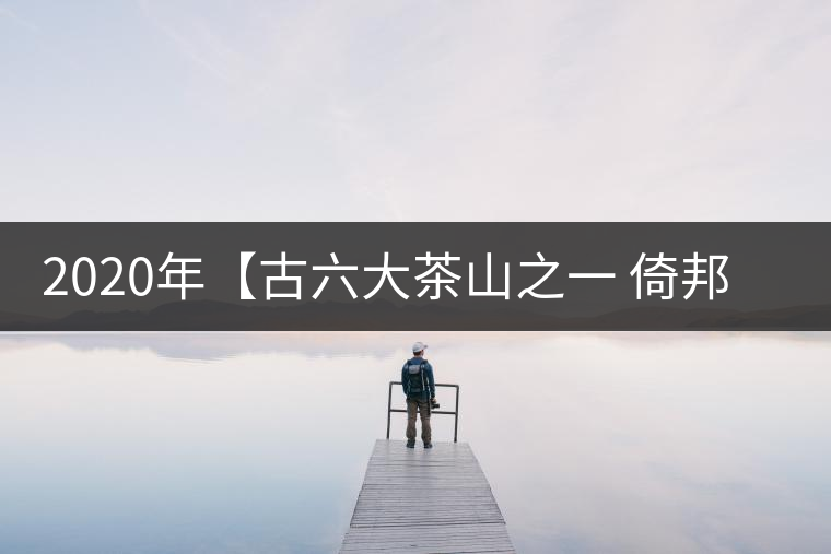 2020年【古六大茶山之一 倚邦】-易武中聘號