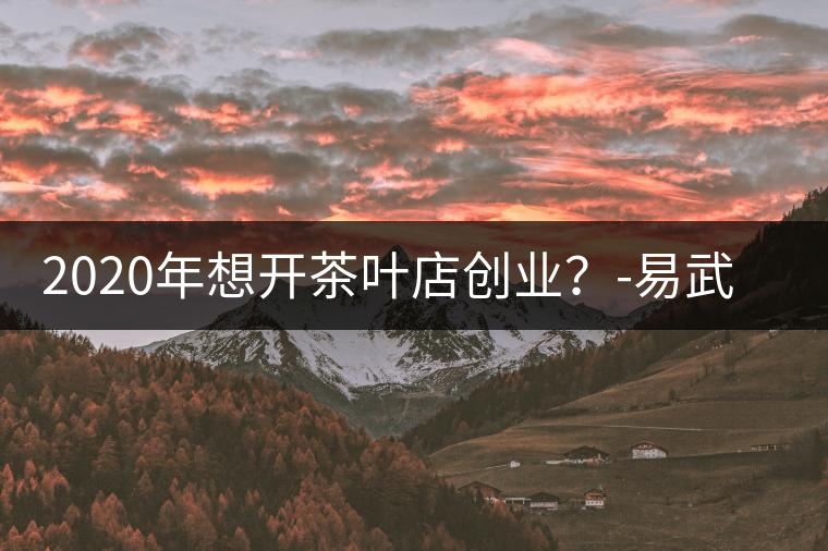 2020年想開茶葉店創(chuàng)業(yè)？-易武中聘號(hào)