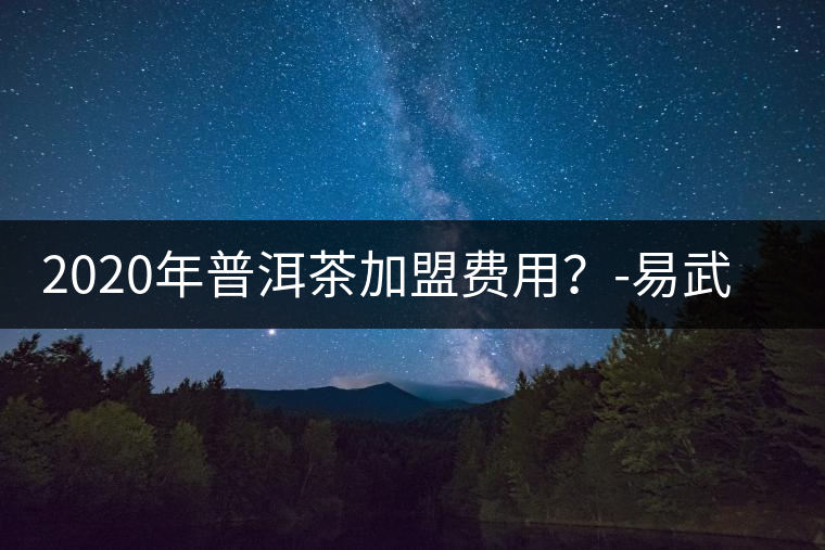 2020年普洱茶加盟費用？-易武中聘號