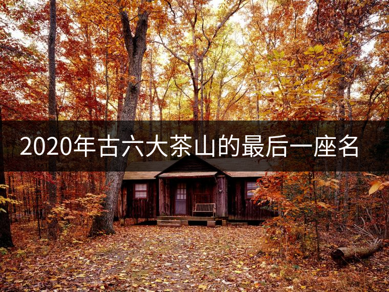 2020年古六大茶山的最后一座名山——攸樂山。-易武中聘號(hào)