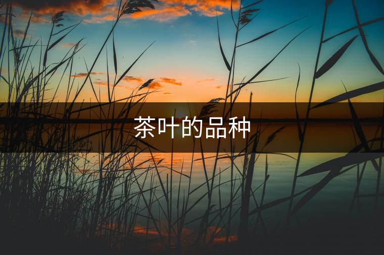 茶葉的品種 茶葉的品種