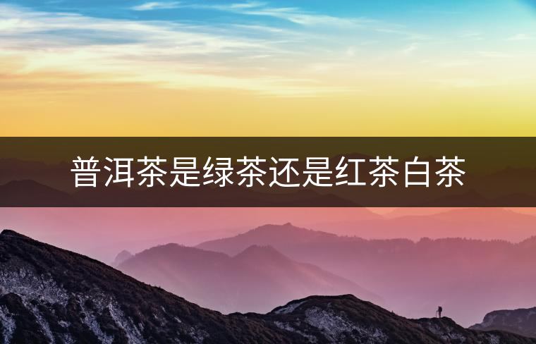 普洱茶是綠茶還是紅茶白茶 普洱茶是綠茶還是紅茶白茶