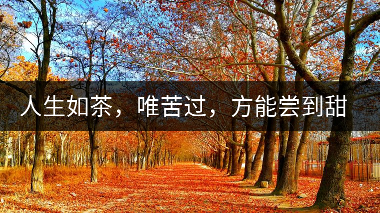 人生如茶，唯苦過(guò)，方能?chē)L到甜滋味