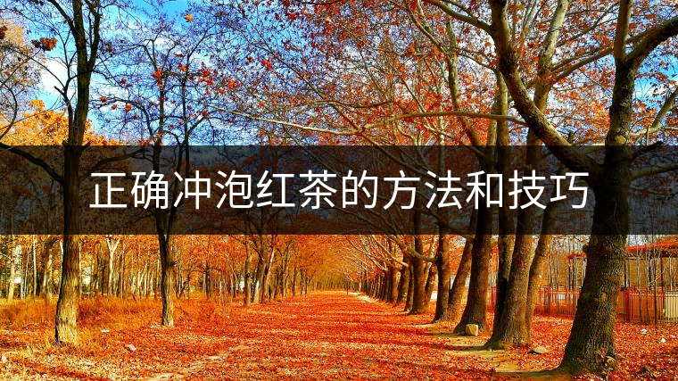 正確沖泡紅茶的方法和技巧
