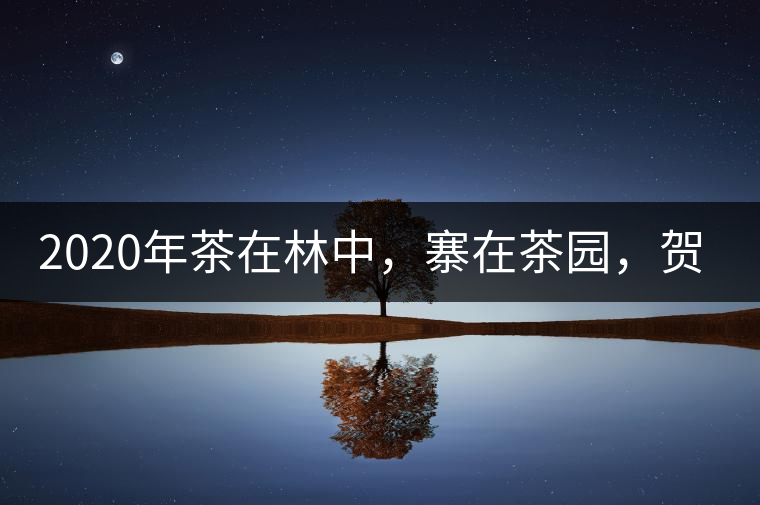 2020年茶在林中，寨在茶園，賀開古樹茶-易武中聘號
