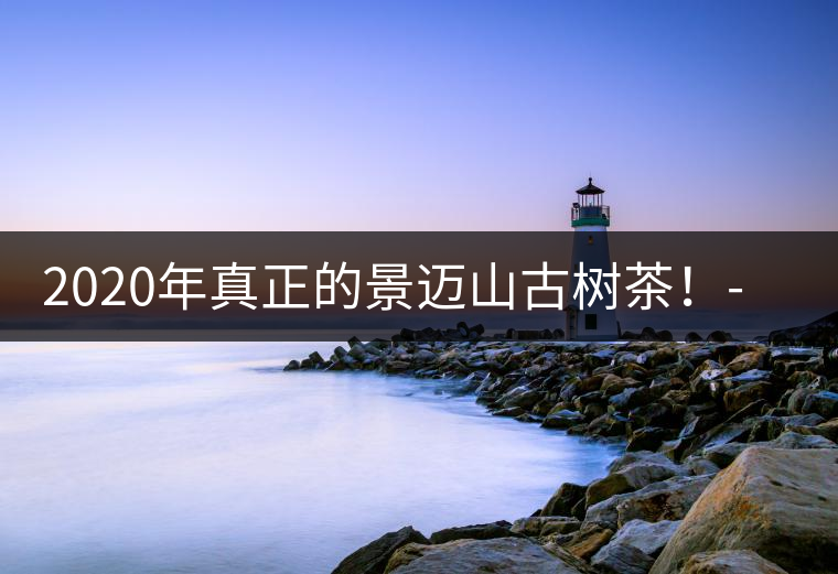 2020年真正的景邁山古樹(shù)茶！-易武中聘號(hào)