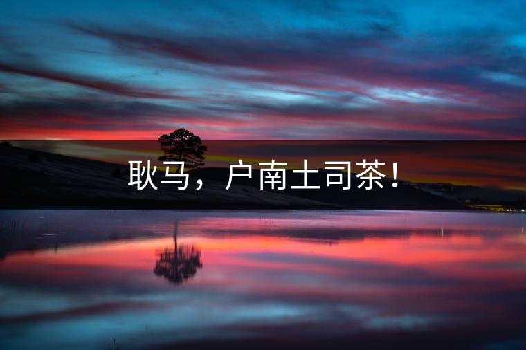 耿馬，戶南土司茶！