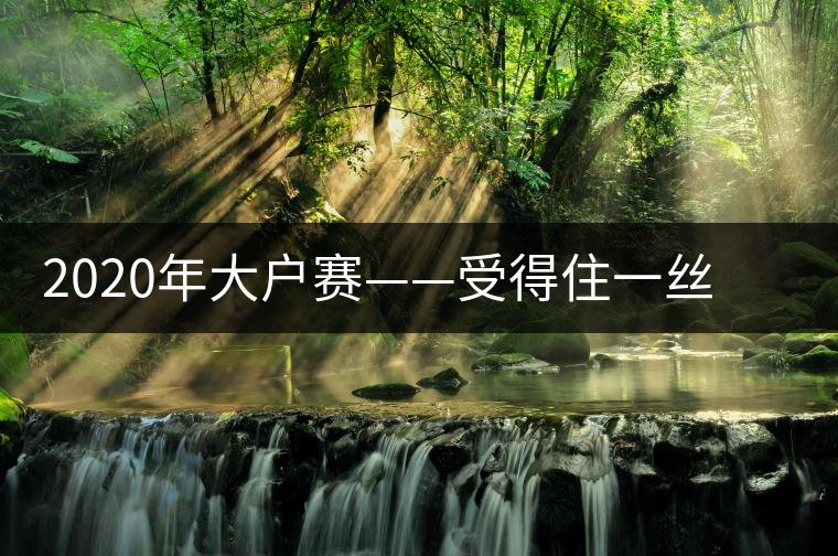 2020年大戶賽——受得住一絲苦，才能盡享一口甜-易武中聘號