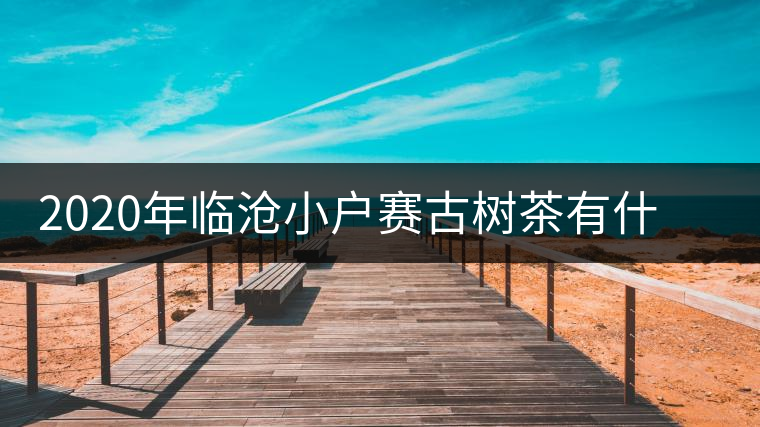 2020年臨滄小戶賽古樹茶有什么特點(diǎn)？因何被稱為“賽冰島”？-易武中聘號(hào)
