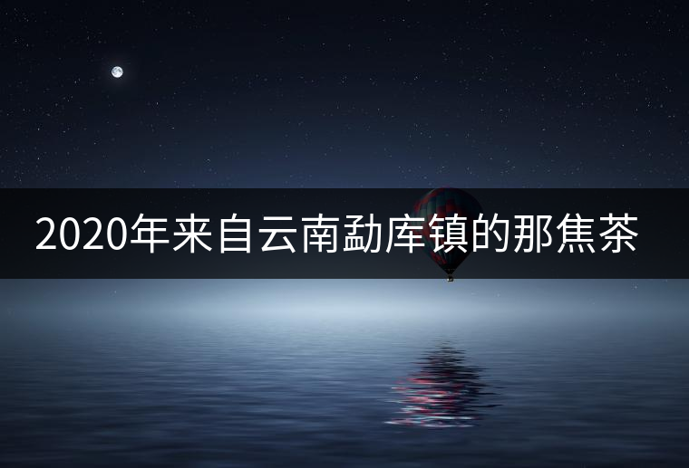 2020年來(lái)自云南勐庫(kù)鎮(zhèn)的那焦茶-易武中聘號(hào) 2020年來(lái)自云南勐庫(kù)鎮(zhèn)的那焦茶-易武中聘號(hào)