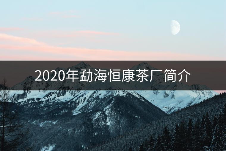 2020年勐海恒康茶廠簡介 2020年勐海恒康茶廠簡介