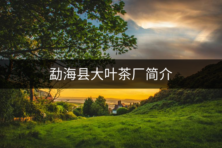 勐?？h大葉茶廠簡介