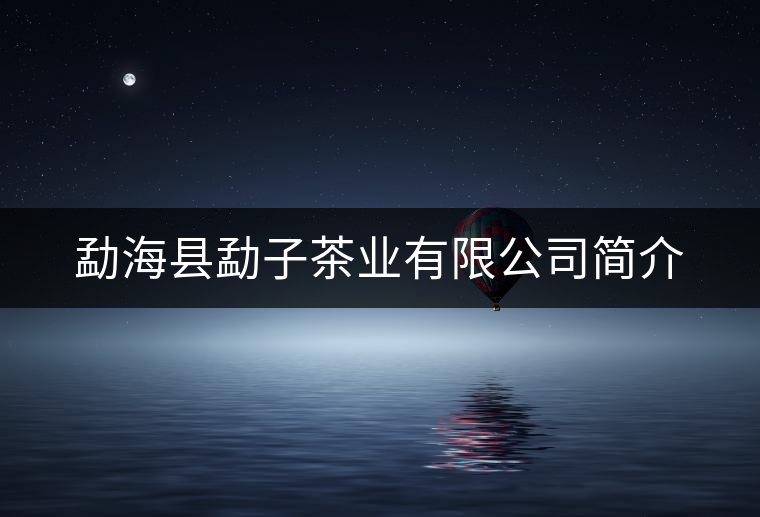 勐?？h勐子茶業(yè)有限公司簡介