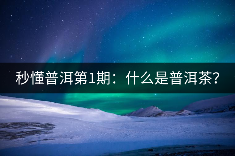 秒懂普洱第1期：什么是普洱茶？