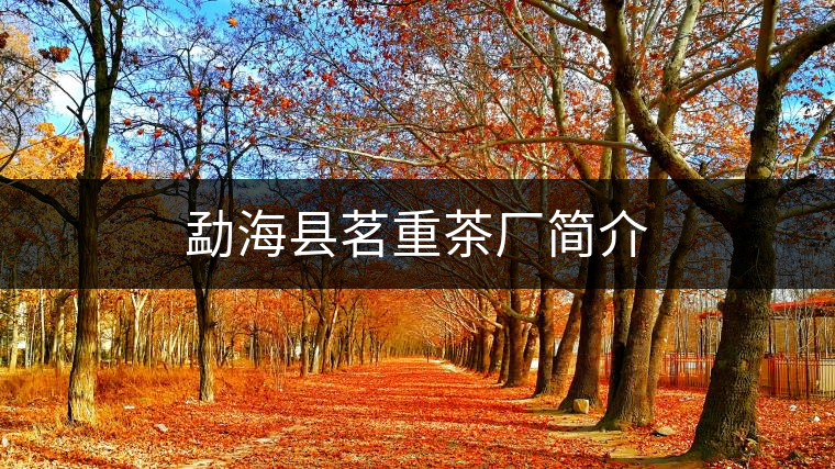 勐海縣茗重茶廠簡介 勐海縣茗重茶廠簡介