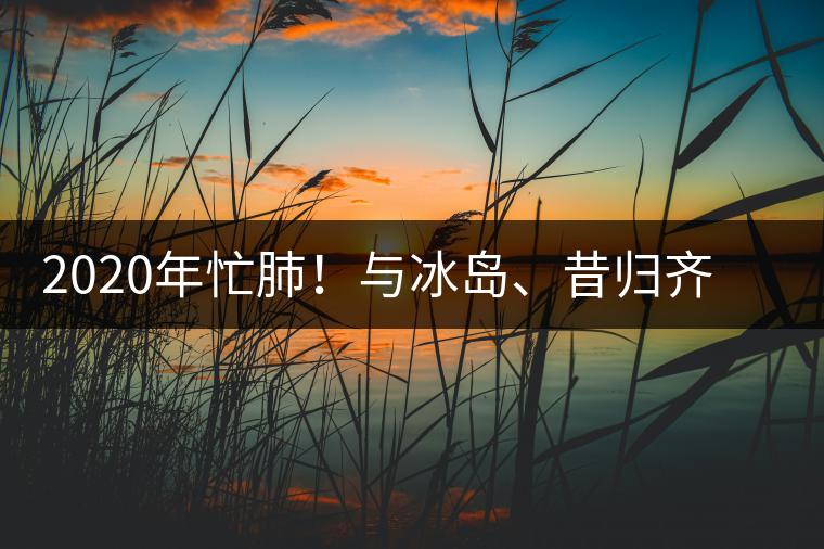2020年忙肺！與冰島、昔歸齊名的普洱茶，到底是什么味道？-易武中聘號(hào)
