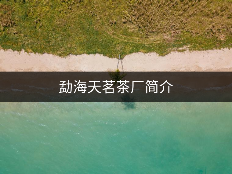 勐海天茗茶廠簡介 勐海天茗茶廠簡介