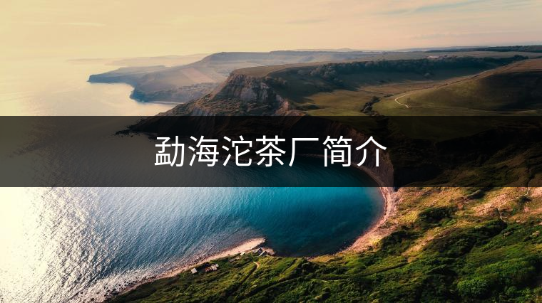 勐海沱茶廠簡(jiǎn)介