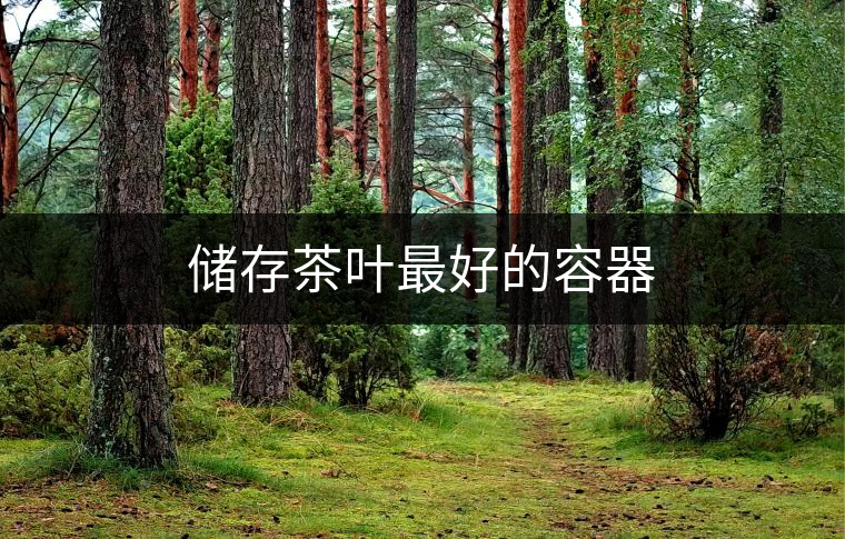 儲存茶葉最好的容器 儲存茶葉最好的容器