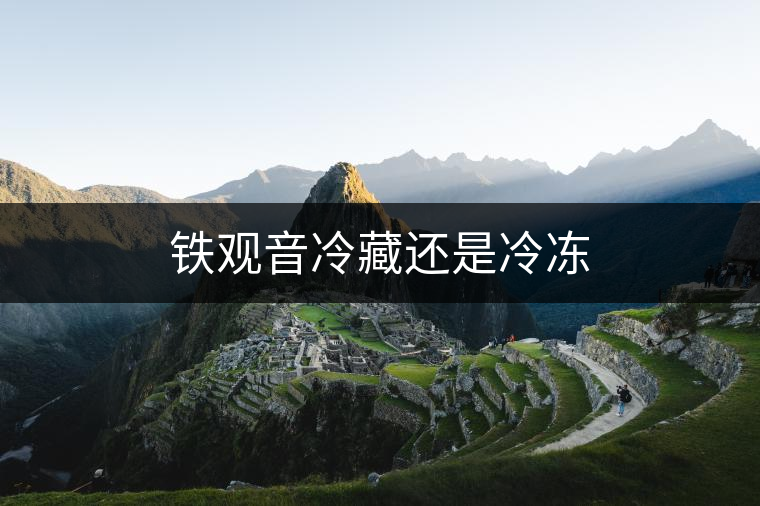 鐵觀音冷藏還是冷凍