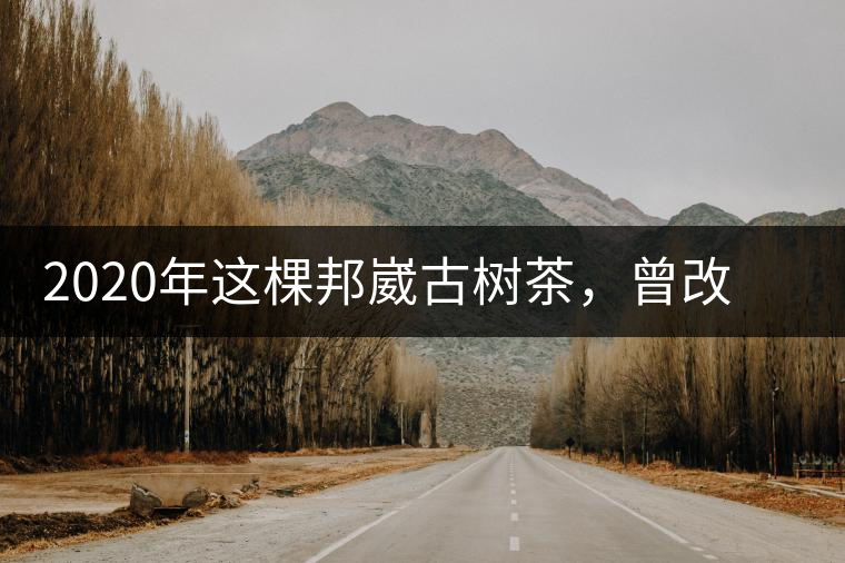 2020年這棵邦崴古樹茶，曾改寫普洱茶歷史！-易武中聘號