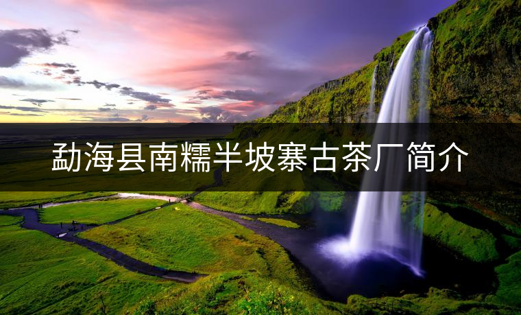 勐海縣南糯半坡寨古茶廠簡介 勐海縣南糯半坡寨古茶廠簡介