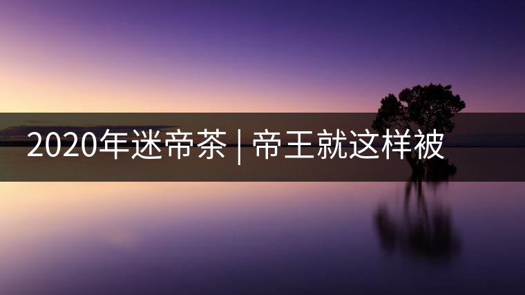 2020年迷帝茶 | 帝王就這樣被迷住了？-易武中聘號