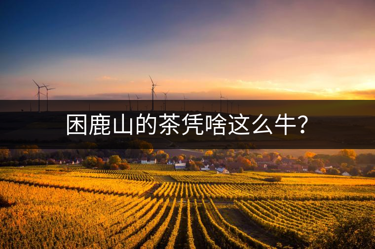 困鹿山的茶憑啥這么牛？