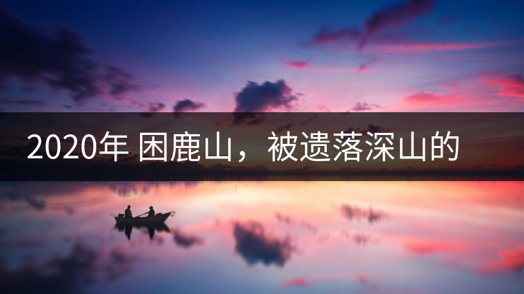 2020年 困鹿山，被遺落深山的皇家古茶園-易武中聘號