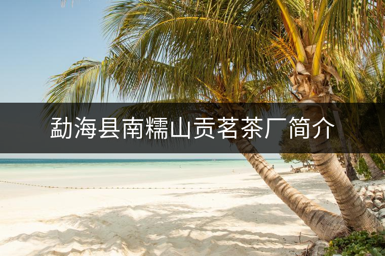 勐?？h南糯山貢茗茶廠簡(jiǎn)介