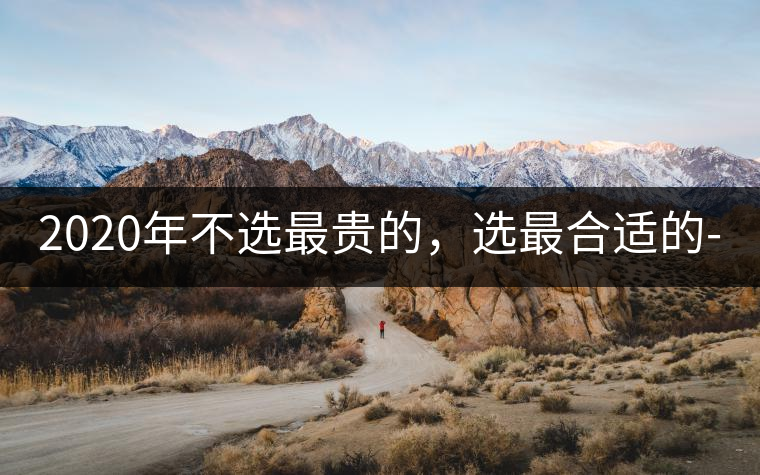 2020年不選最貴的，選最合適的-無(wú)量山古樹(shù)茶 |-易武中聘號(hào)