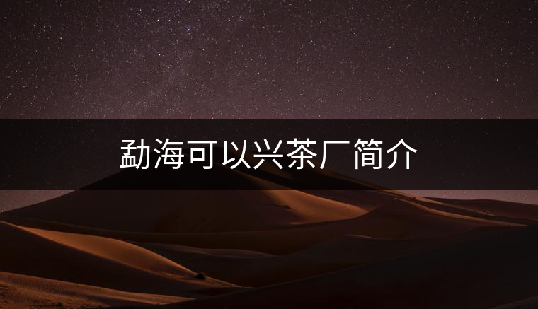 勐?？梢耘d茶廠簡介