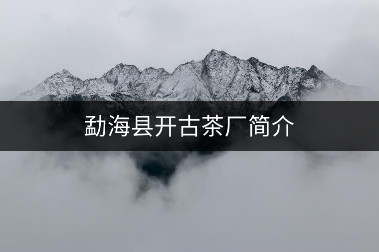 勐?？h開(kāi)古茶廠簡(jiǎn)介