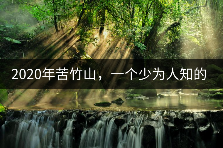 2020年苦竹山，一個少為人知的后起之秀！-易武中聘號