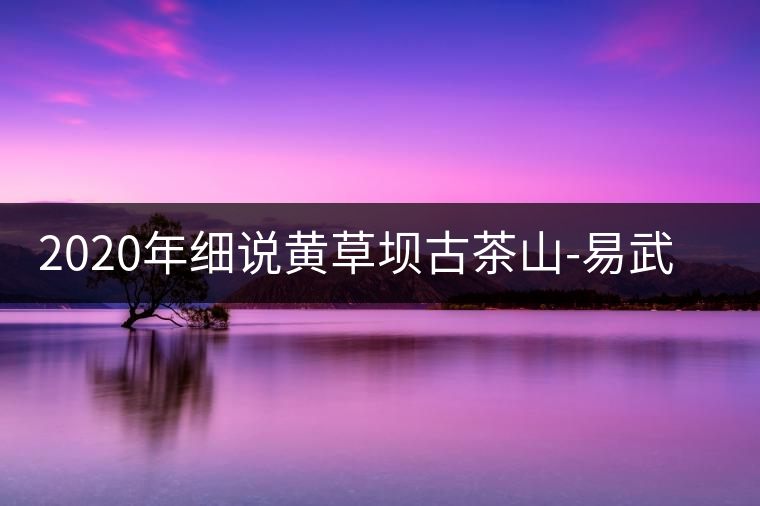 2020年細說黃草壩古茶山-易武中聘號 2020年細說黃草壩古茶山-易武中聘號