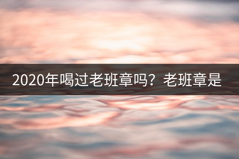 2020年喝過老班章嗎？老班章是什么味道？-易武中聘號