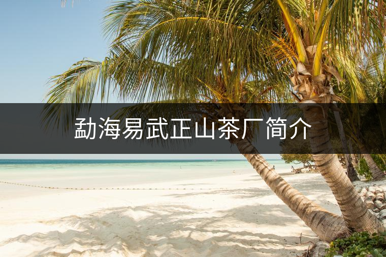 勐海易武正山茶廠簡介