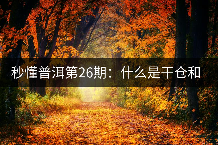 秒懂普洱第26期：什么是干倉和濕倉？