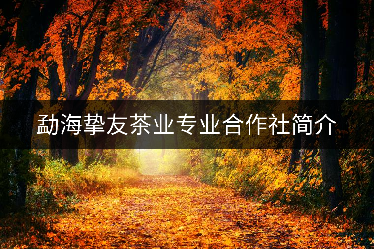 勐海摯友茶業(yè)專(zhuān)業(yè)合作社簡(jiǎn)介