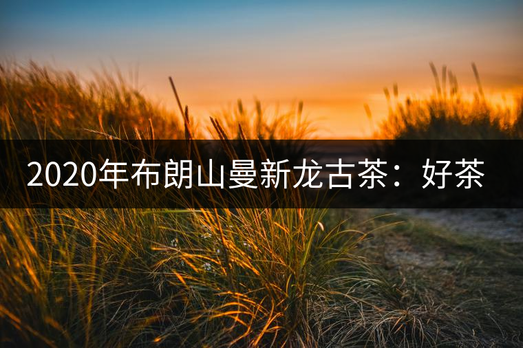 2020年布朗山曼新龍古茶:好茶需細(xì)品-易武中聘號(hào) 2020年布朗山曼新龍古茶:好茶需細(xì)品-易武中聘號(hào)