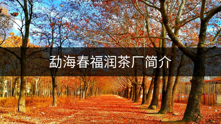 勐海春福潤(rùn)茶廠簡(jiǎn)介 勐海春福潤(rùn)茶廠簡(jiǎn)介