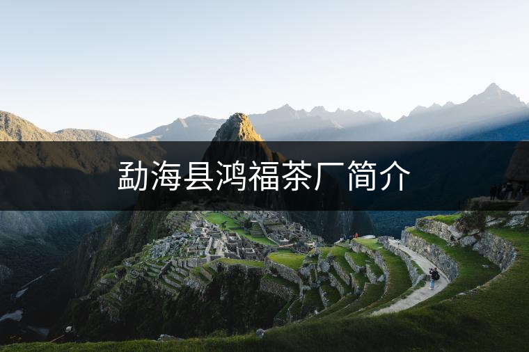 勐?？h鴻福茶廠簡(jiǎn)介