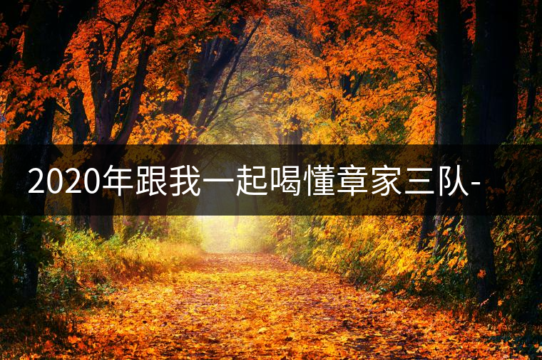 2020年跟我一起喝懂章家三隊-易武中聘號