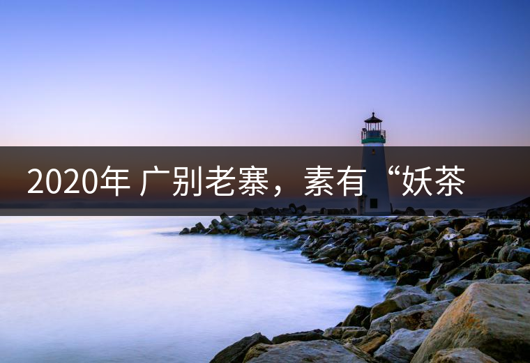 2020年 廣別老寨，素有“妖茶”之稱-易武中聘號