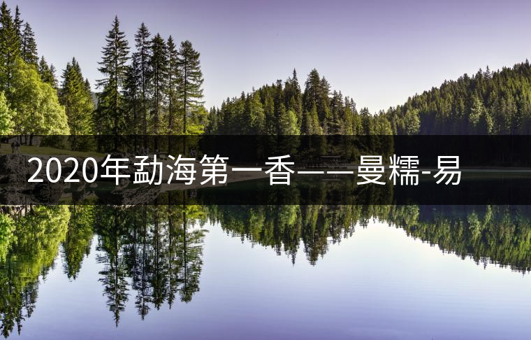 2020年勐海第一香——曼糯-易武中聘號 2020年勐海第一香——曼糯-易武中聘號