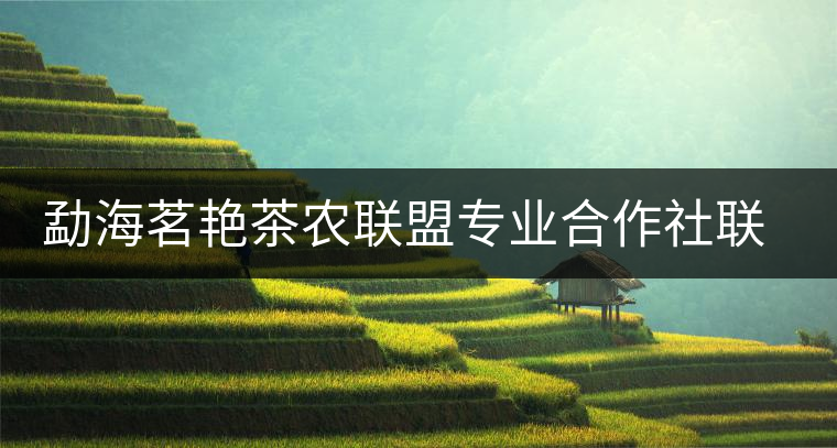 勐海茗艷茶農聯盟專業(yè)合作社聯合社簡介